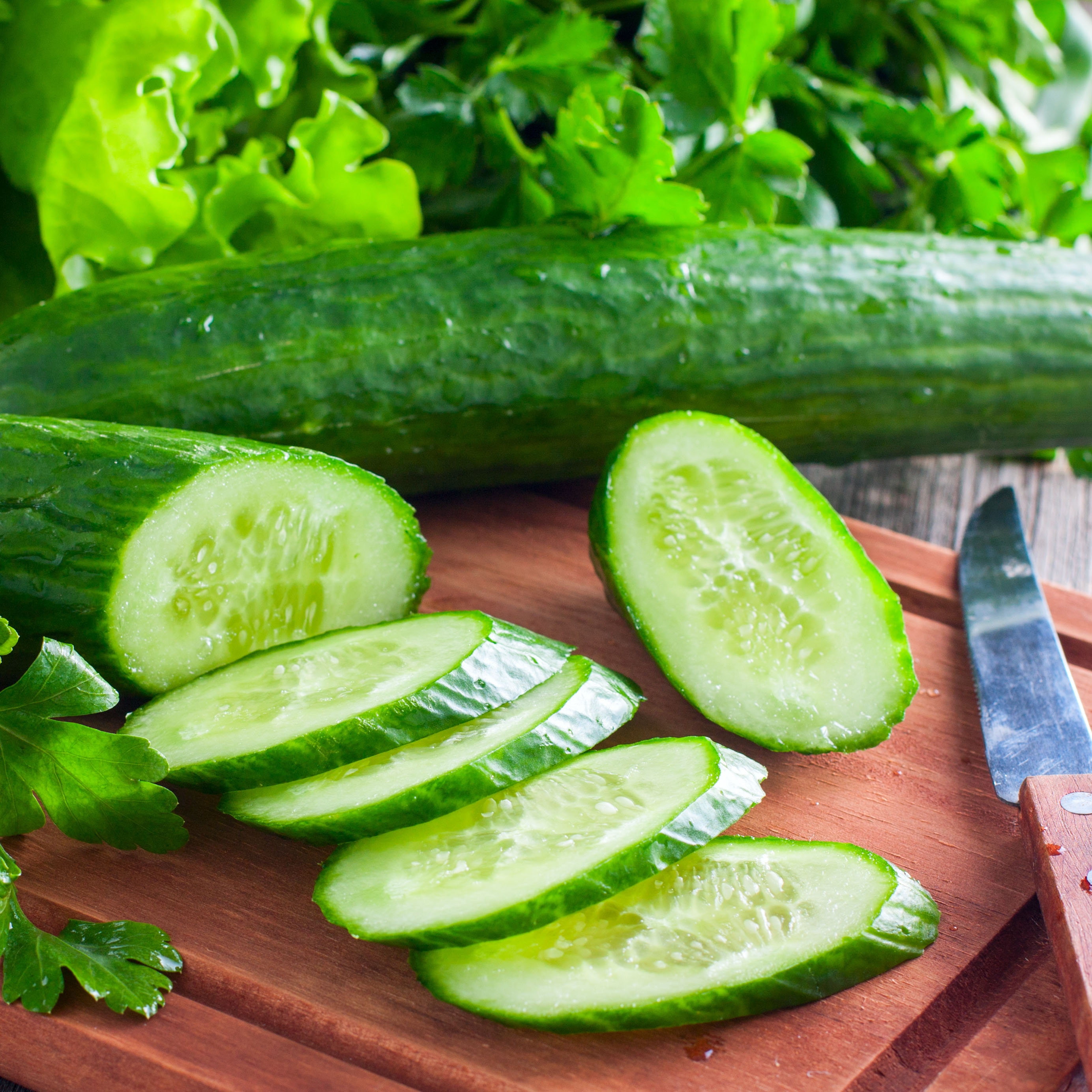 Cucumber plants