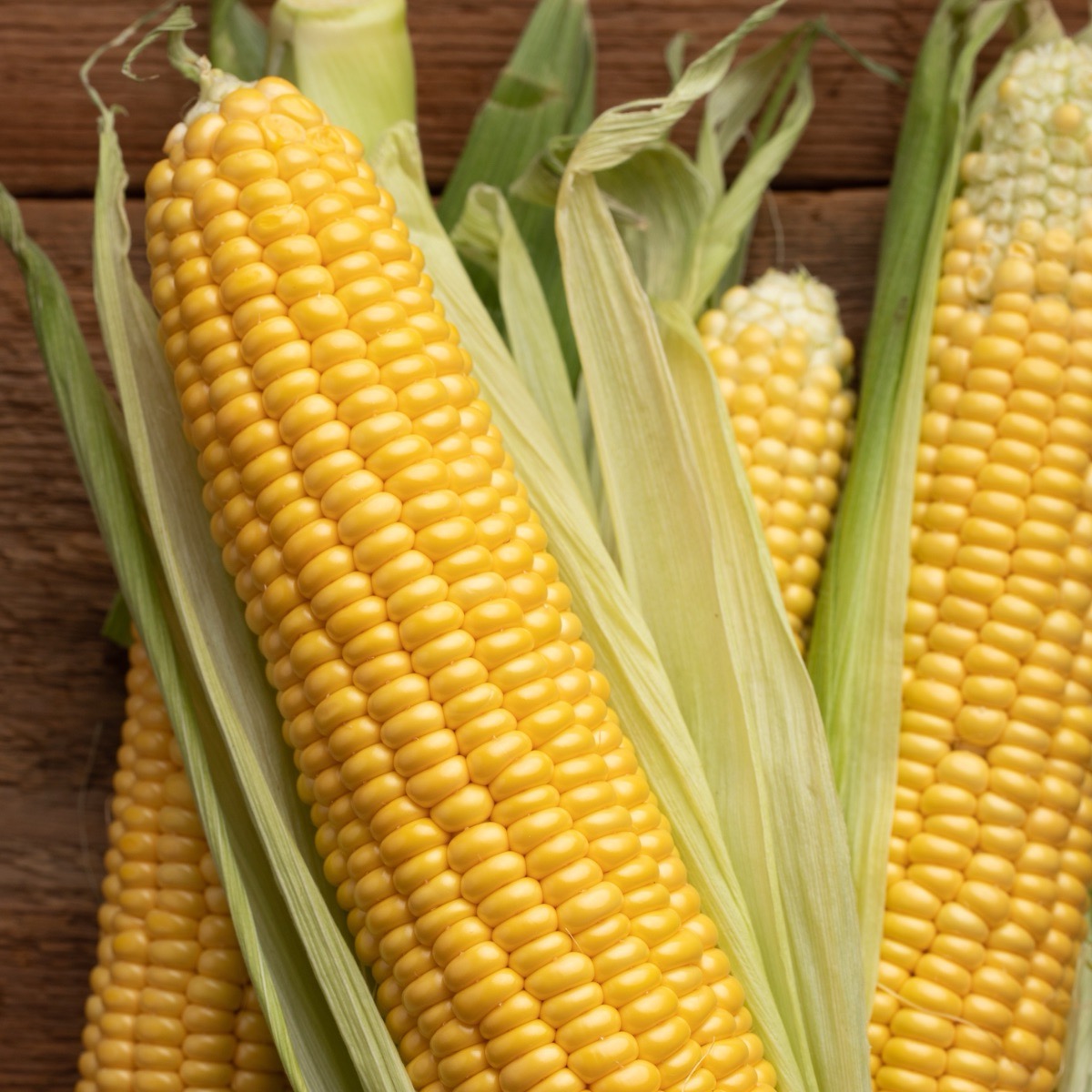Sweetcorn Plants