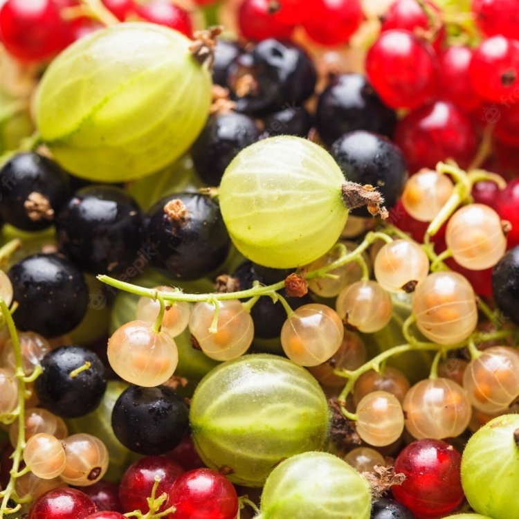Gooseberries, Blackcurrants, Redcurrants & Whitecurrants