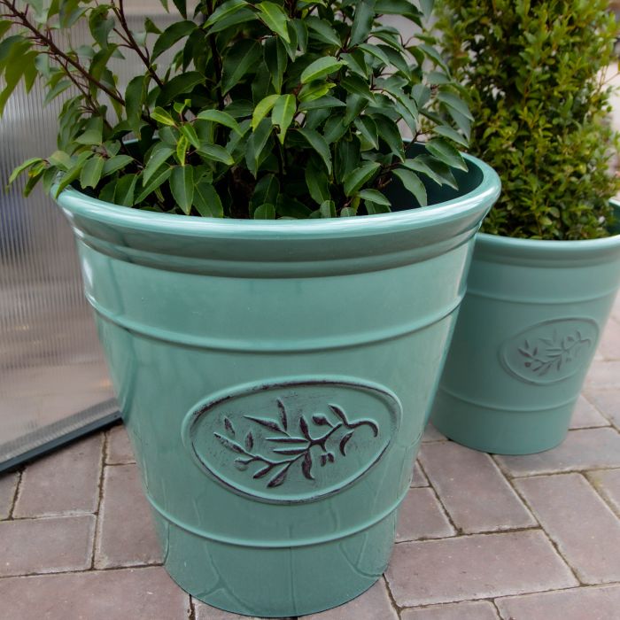 BLACK FRIDAY - Pots & Planters