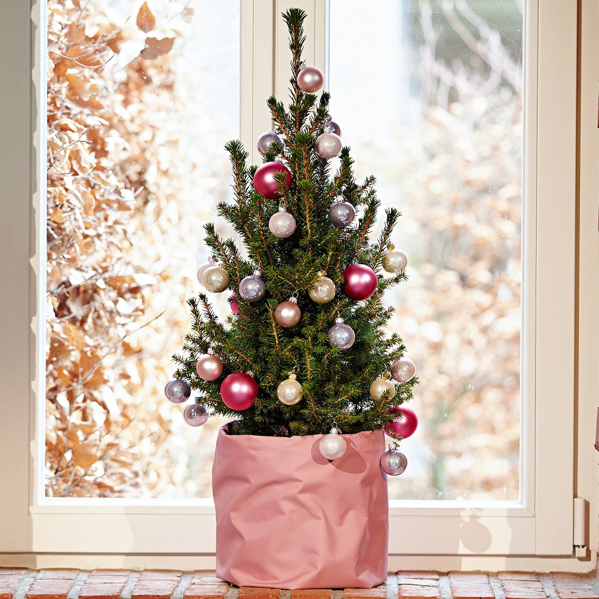 Smaller & Mini Christmas Trees