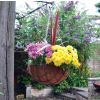 Hanging Basket - 14 Inch