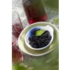 Black Mulberry Patio Tree - Morus rotundiloba Mojo Berry circa 100cms