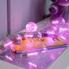 Christmas Tree String Light - 10 Edison Bulb Pink Led Lights