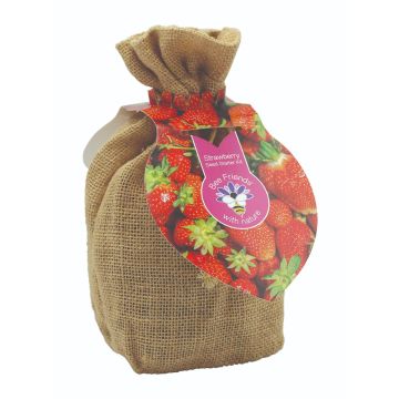Bee Friends® Jute Bag Seed Starter Kit - Strawberry