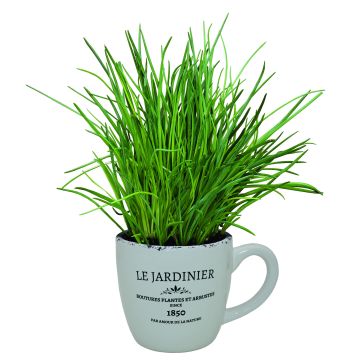 WINTER SALE - Giant Gardeners Mug Grow Your Own Chives Planter - Perfect Gift!