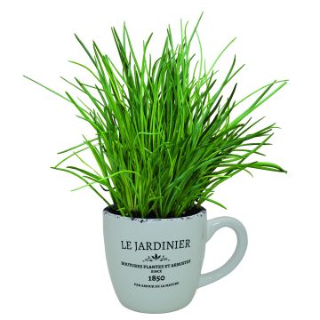 Giant Gardeners Mug Grow Your Own Chives Planter - Perfect Gift!