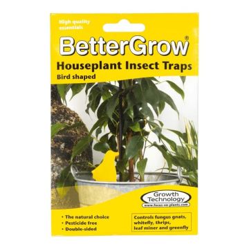 BetterGrow Houseplant Insect Traps - 15 Pack