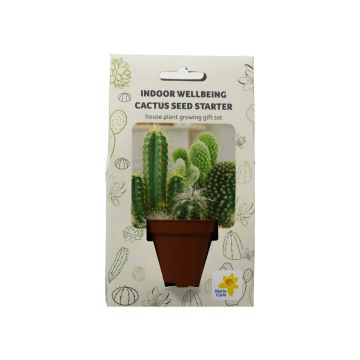 MC Sow For Wellbeing - House Plants Cactus 
