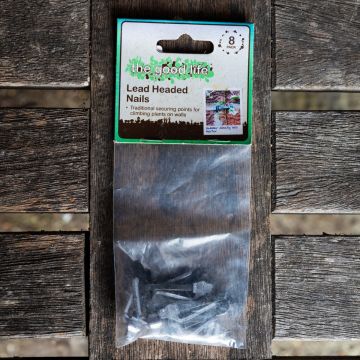 Lead Headed Nails - 8 Pack