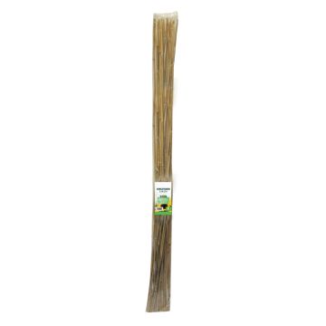 10 pack of 150cm Bamboo Canes