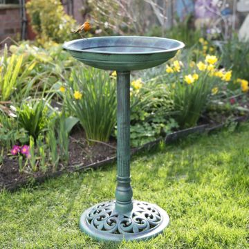 Traditional Bird Bath