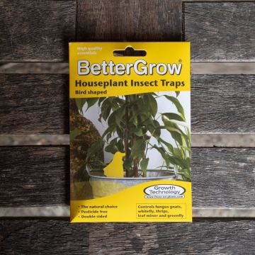 BetterGrow Houseplant Insect Traps - 15 Pack