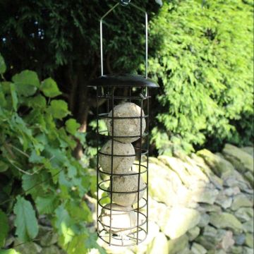 Premium Hammertone Finish Fat Ball Bird Feeder