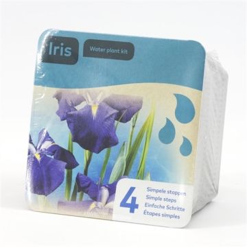 Complete Water Plant Pond Kit - Blue Iris