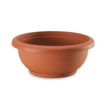 25cm Terracotta Bowl with Saucer