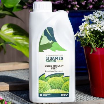 Box Fertiliser – Special Organic Feed for Topiary & Buxus Plants