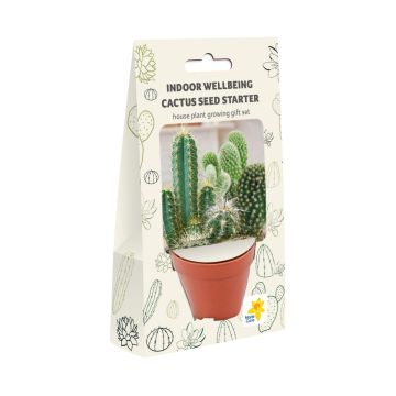 Indoor Wellbeing - Cactus House Plant Growing Gift Set 