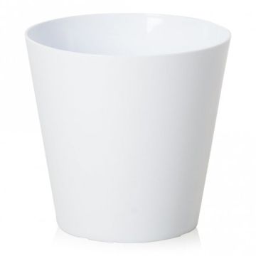 White Cover Pot for Poinsettia Plants (14.5cm diametre pot)