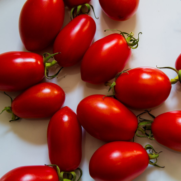 Tomato - San Marzano