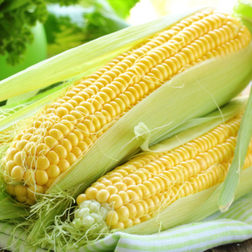 Sweetcorn Earlibird