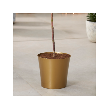 Medium Gold Plastic Plant Cover Pot  - 12.5cm diameter