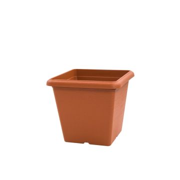 20cm Terracotta Cube Pot