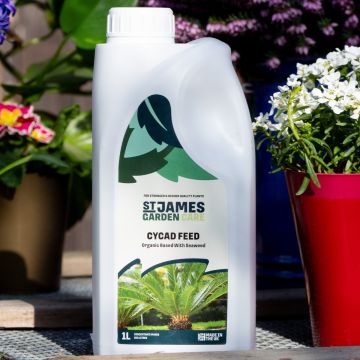 Cycad Fertiliser – Special Organic Feed for King Sago Palms