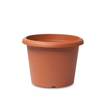 25cm Terracotta Cylinder Pot