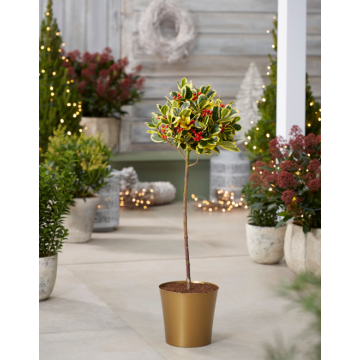 Medium Gold Plastic Plant Cover Pot  - 12.5cm diameter