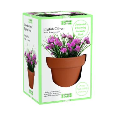 Grow Your Own! Chives - Herb Grow Set