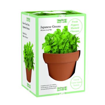 Grow Your Own! Japanese Greens - Herb Grow Set
