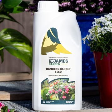 Hanging Basket Plant Fertiliser – Special Organic Feed for Hanging Basket Plants