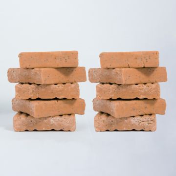 High-Energy Berry Suet Blocks for Birds - Pack of 10