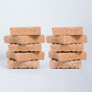 High-Energy Suet Blocks for Birds with Insects - Pack of 10