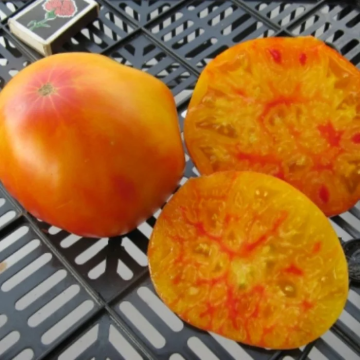 Tomato Plant 'Grandma Viney's Yellow and Pink'