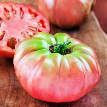 Tomato Plant 'German Red Strawberry'