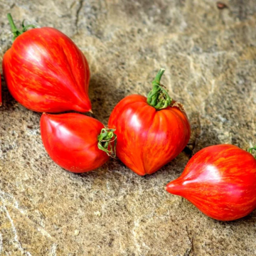 Tomato Plant 'Crushed Heart'