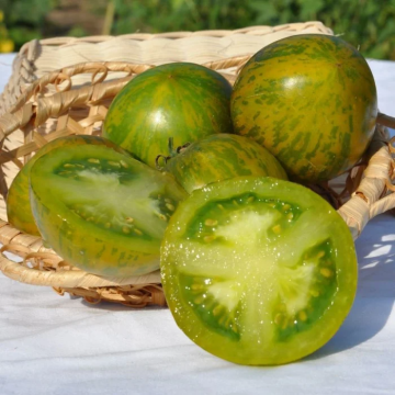Tomato Plant 'Moonstone'