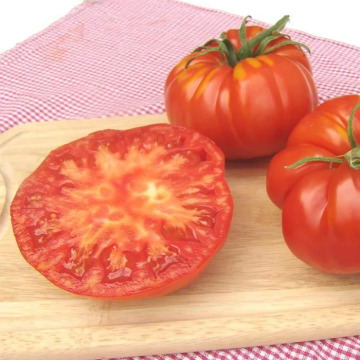 Tomato Plant 'Brutus'