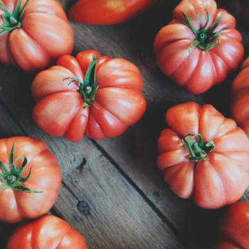 Tomato Plant 'Monte Rosa'