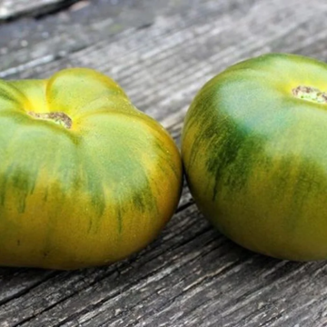 Tomato Plant 'Absinthe'