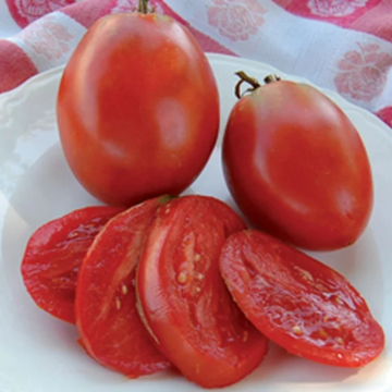 Tomato Plant 'Amish Paste'