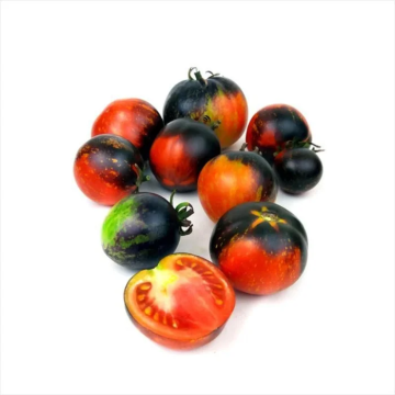 Tomato Plant 'Dark Galaxy'