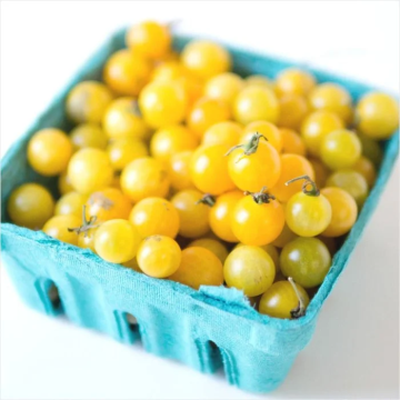 Tomato Plant 'Yellow Current'