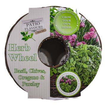 Grow your own Herbs - Patio Woven basket Herb Set - Basil, Oregano, Chives and Parsley