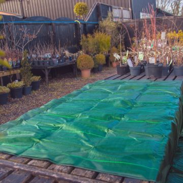 Heavy Duty Weed Membrane 2m x 10m - Green