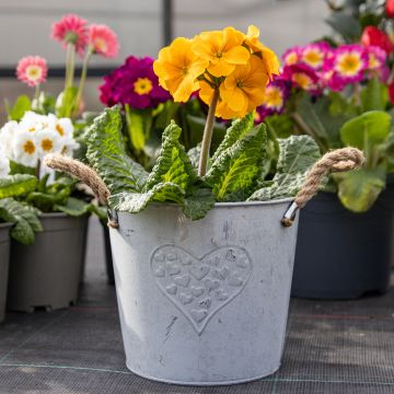 SPECIAL DEAL - Heart Zinc Pot with Hessian Ears - Medium (18cm)