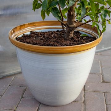 Honey Pot Planter - Large (30cm)