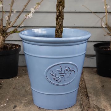 Blue Olive Planter - Extra Large (40cm)